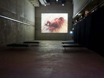 Joanna Rajkowska, Born in Berlin, 2012, installation view, Akademie der Künste, Berlin, 2012 (artwork © Joanna Rajkowska; photograph © Marta Gornicka, provided by Berlin Biennale)