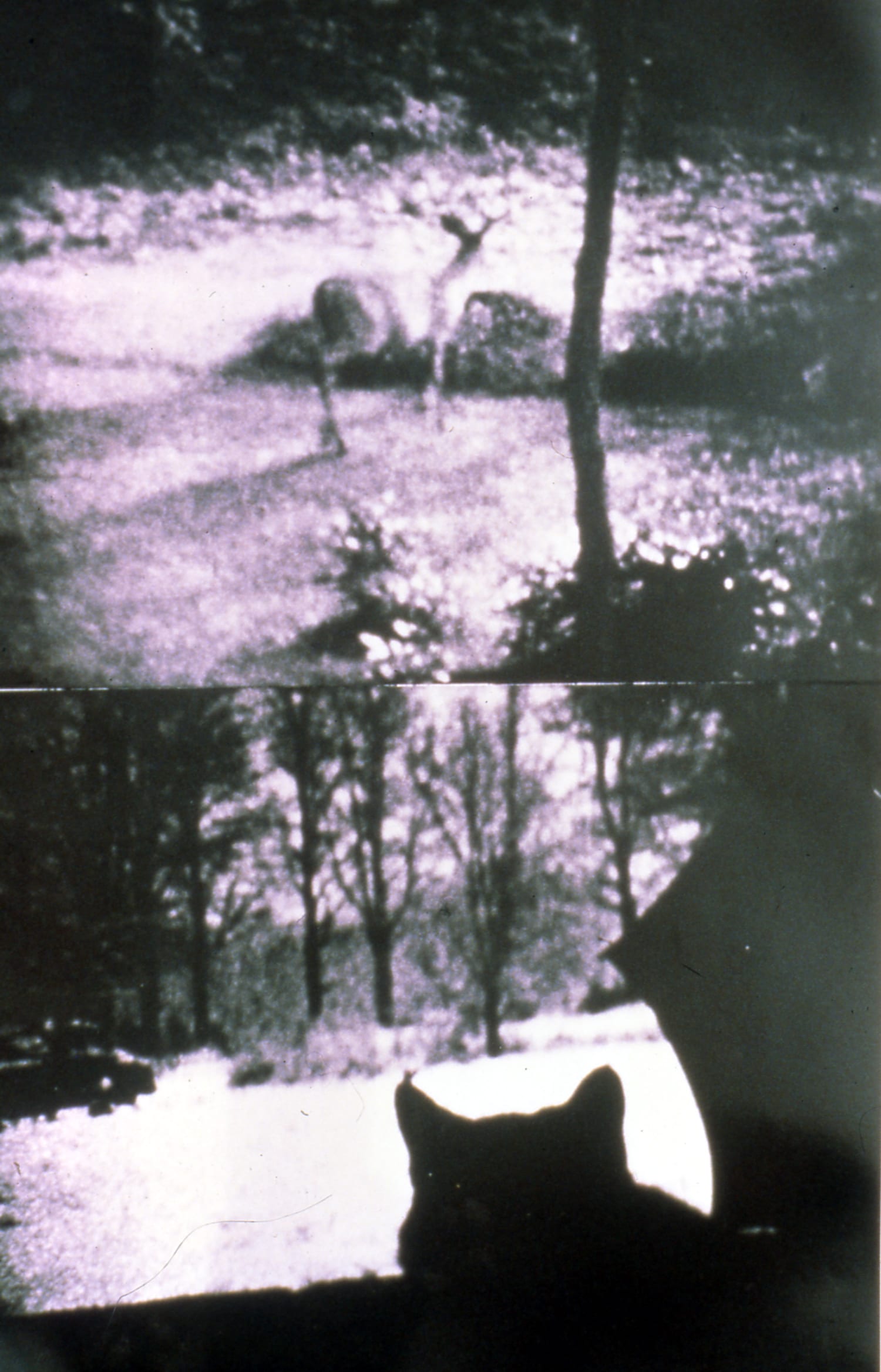 The Cat Is My Medium Notes On The Writing And Art Of Carolee Schneemann Art Journal Open