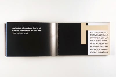 Karl Haendel, page spreads from FEAR (Los Angeles: Double Ampersand Press, 2013) (artwork © Karl Haendel)