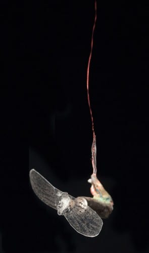 Gilberto Esparza, Moscas (Flies), 2010–2014, motor from cellular phone, copper wire, and controller (artwork © Gilberto Esparza; photograph provided by Beall Center for Art + Technology, University of California, Irvine)