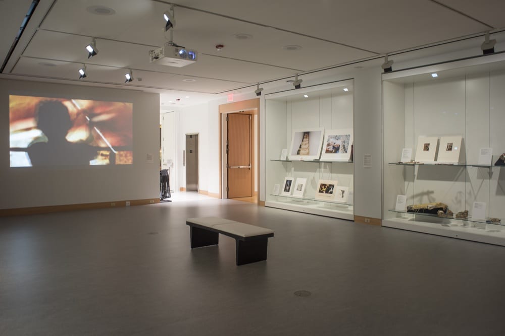 Each work in the exhibition was projected onto a large white gallery wall. Takemoto's video, "On the Line," is being projected onto the back wall on the left. On the far right of the frame, there are two large built-in glass cases where each artist was able to choose materials from the Spencer's permanent collection. The objects chosen complement the works projected. The image shows a wide view of the space that has a bench in the middle of the room where onlookers can sit.