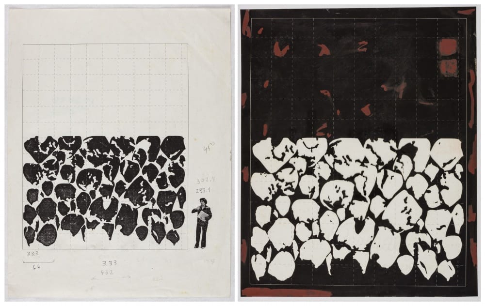 Scale study and photographic experiment, each using the “Sick rose” collage composition