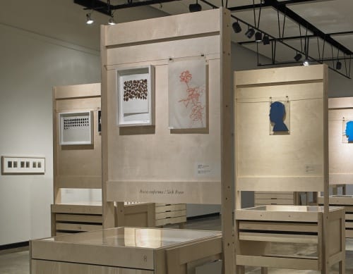 View of cabinets displaying the documents and works in the Roberto Obregón Archive