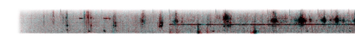 Cropped color photograph of spectogram created by Brian House