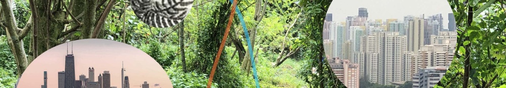 Photograph of green tropical forest with circular collage cutouts of high-rise buildings in Chicago (left) and Singapore (right). Colorful lines intersect at the center of the image.