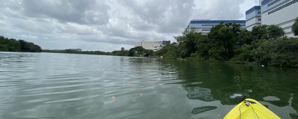 Panoramic view of the sea from inside of a kayak approaching a mangrove estuary within an urban industrial area with tropical clouds overhead.