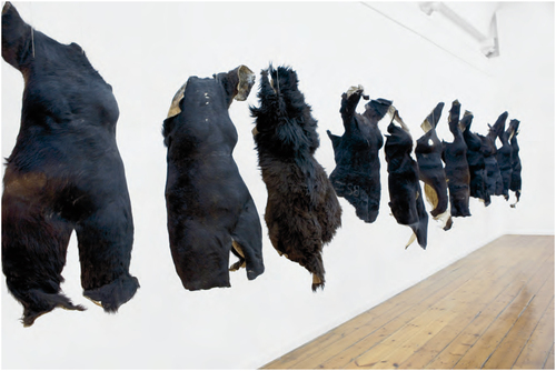 Dark furry hides cast in the shape of human female torsos, are hanging from the ceiling, parallel to the wall with even intervals between them.