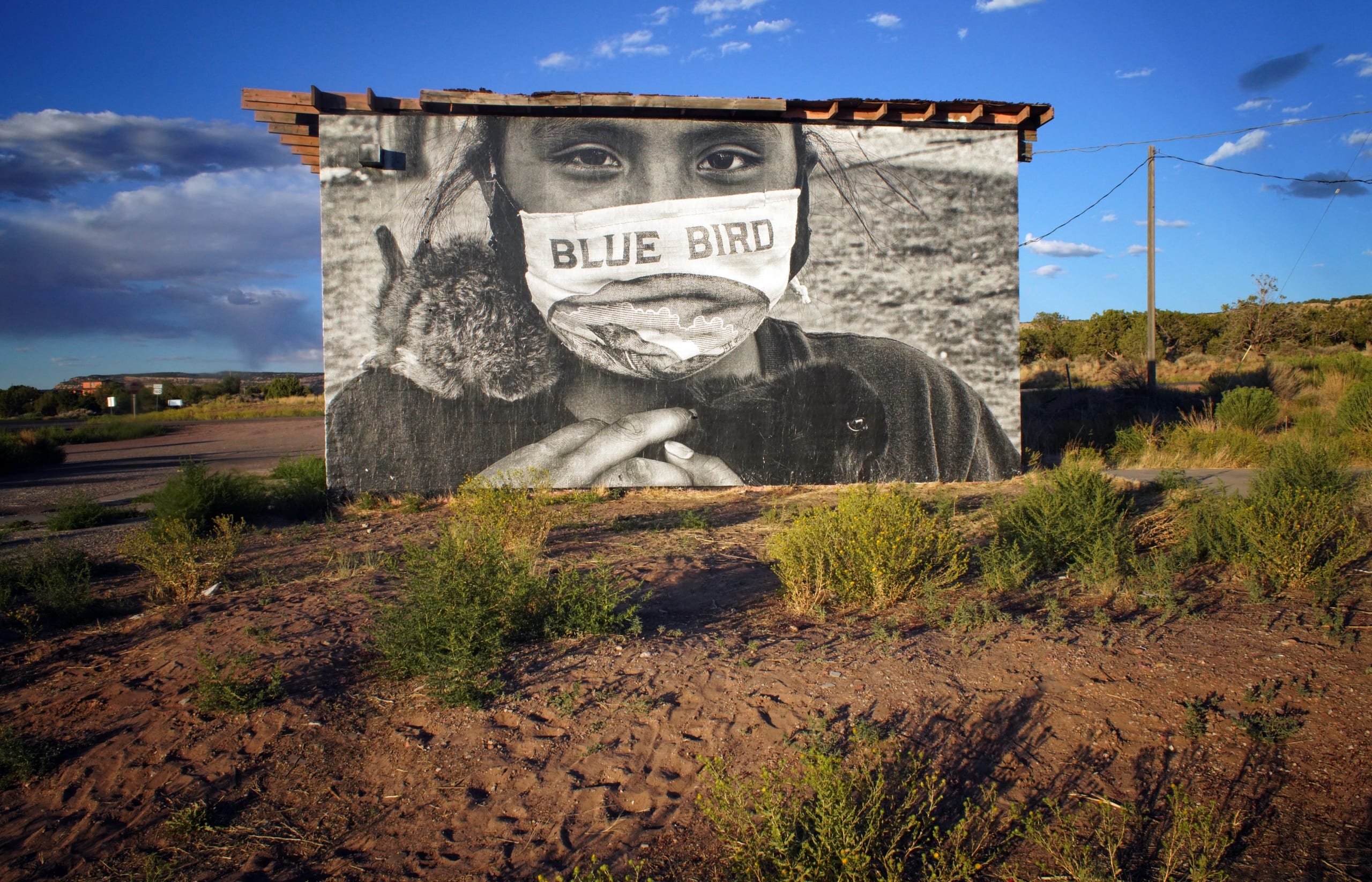 Color photograph shows a lush desert landscape with a bright blue sky. In the center of the image is a building wrapped in a photographic mural of a young girl, wearing a face mask and looking straight out at the veiwer, holding a small bunny